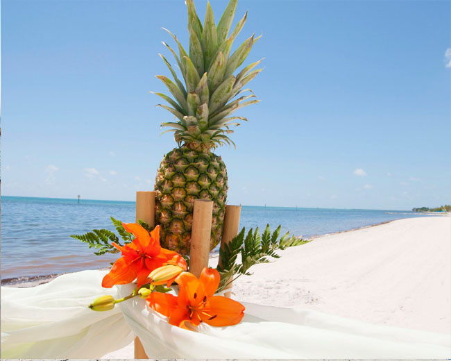 Wedding in Key West